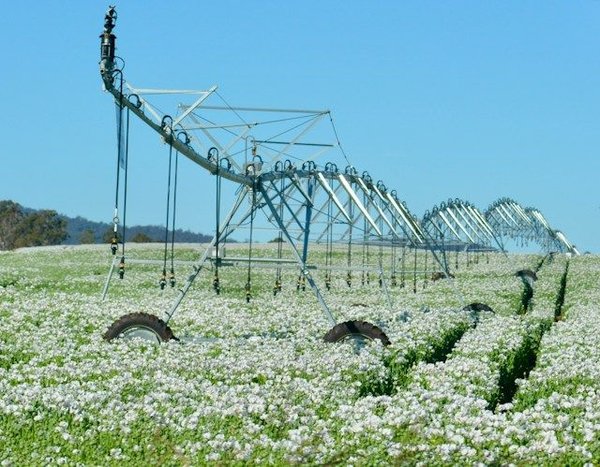 How can smart irrigation systems conserve water in agriculture?